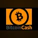 Bitcoin Cash payment method